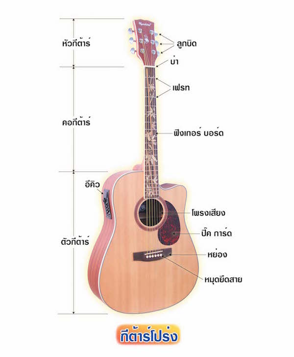 4 แนวคิดเลือก กีต้าร์โปร่ง (Acoustic Guitar)